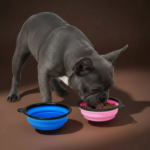 2-in-1 Silicone Travel Bowl - bravines