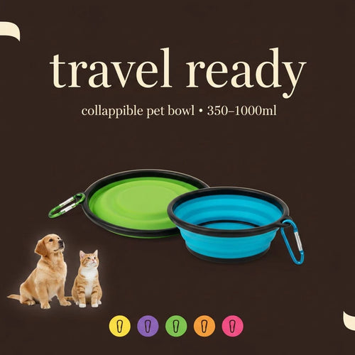 2-in-1 Silicone Travel Bowl - bravines