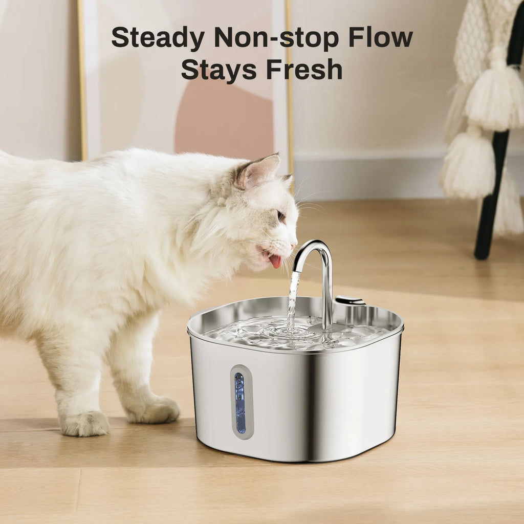 Stainless Steel Pet Water Fountain | Automatic Filtered Drinking Fountain for Cats & Dogs