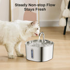 Stainless Steel Pet Water Fountain | Automatic Filtered Drinking Fountain for Cats & Dogs