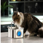 Stainless Steel Pet Water Fountain | Automatic Filtered Drinking Fountain for Cats & Dogs