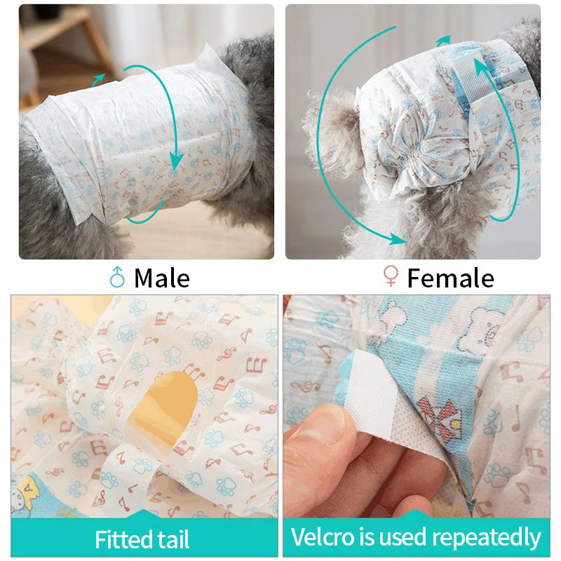 Female Dog Diaper | Super Absorbent Leakproof Physiological Pants for Dogs