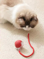 Interactive Smart Cat Ball Toy | Self-Moving Rolling Ball for Cats & Kittens