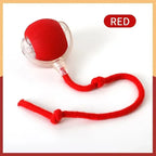 Interactive Smart Cat Ball Toy | Self-Moving Rolling Ball for Cats & Kittens