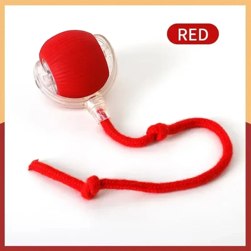 Interactive Smart Cat Ball Toy | Self-Moving Rolling Ball for Cats & Kittens