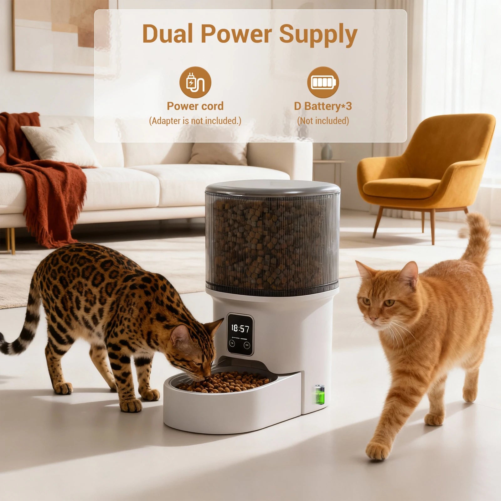 Programmable Automatic Pet Feeder | 4L Timer & Portion Control for Cats & Dogs