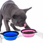Foldable 2-in-1 Silicone Pet Bowl | Food & Water Travel Bowl for Dogs & Cats