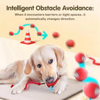 Interactive Smart Cat Ball Toy | Self-Moving Rolling Ball for Cats & Kittens