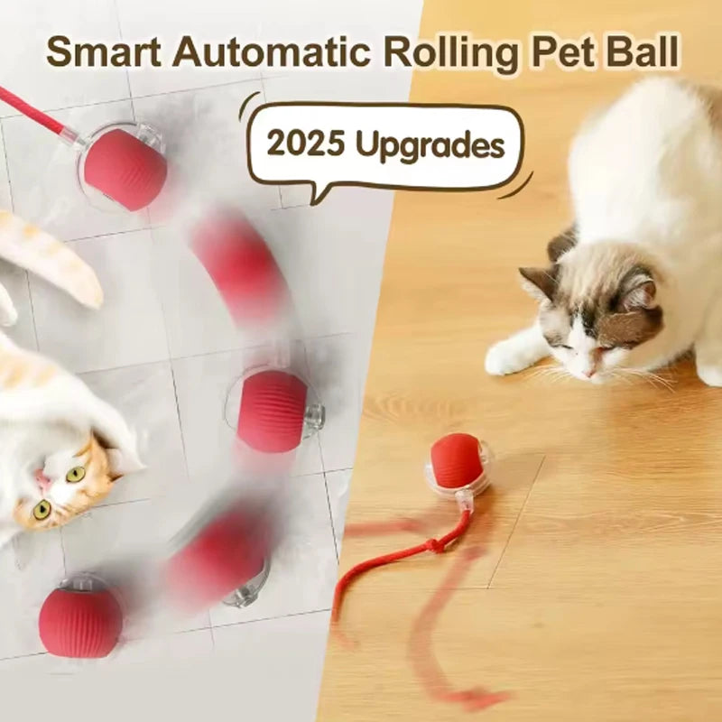 Interactive Smart Cat Ball Toy | Self-Moving Rolling Ball for Cats & Kittens
