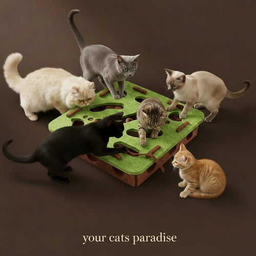 Cat Puzzle Box - bravines