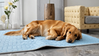Premium Self-Cooling Ice Silk Pet Mat | Dogs & Cats Summer Cooling Pad